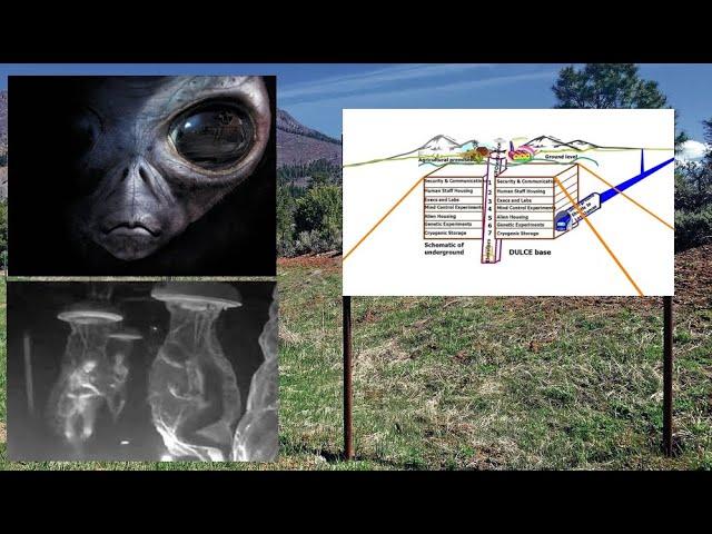 Aliens Run Secret Base in New Mexico to Breed Many Legged Human Hybrids, Conspiracy Theory Claims
