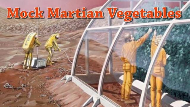 Mock Mars Vegetables - SRZLY BRO.
