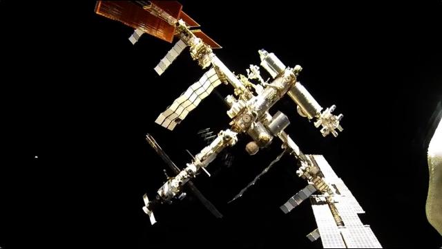SpaceX CRS-28 mission to space station - Science payloads explained
