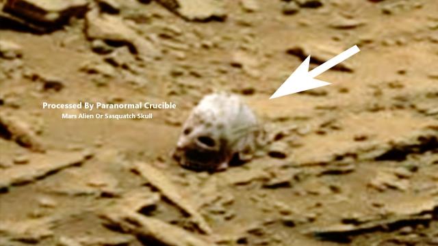 Alien Or Sasquatch Skull Found On Mars?