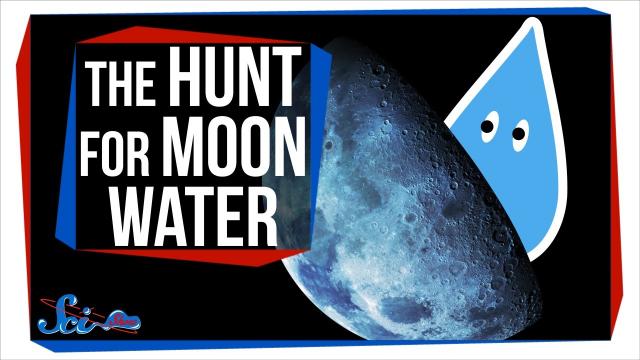 The Hunt for Water on the Moon