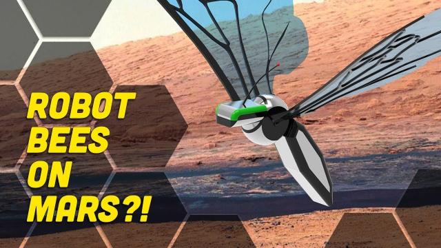 Robotic Bees Designed to Explore Mars