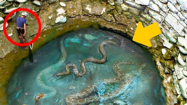 A worker finds a giant snake pit and is shocked to discover what's at the bottom