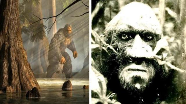 Hunter Discovers Bigfoot – Scientists Are Stunned After Seeing DNA Test