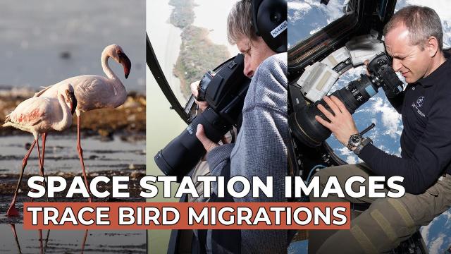 Space Station Images Trace Bird Migrations