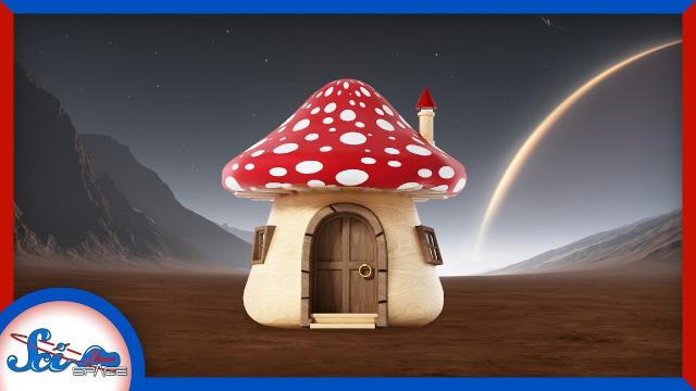 Will Space Settlers Live in Fungi Buildings?