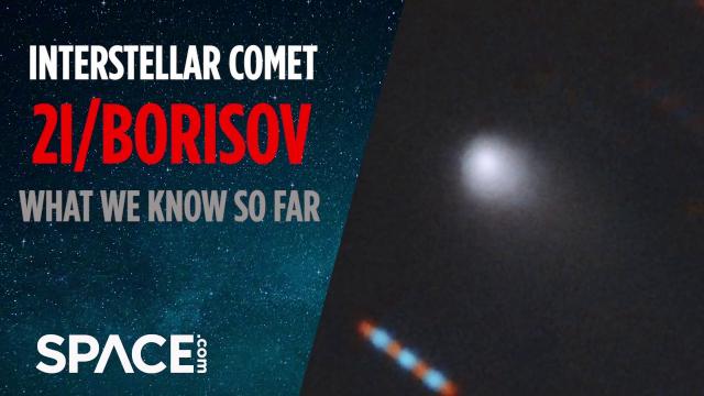 Interstellar Comet 2I/Borisov - What We Know So Far