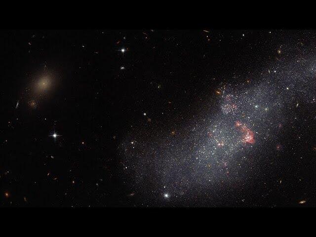 Pan: Hubble’s neighbourhood watch