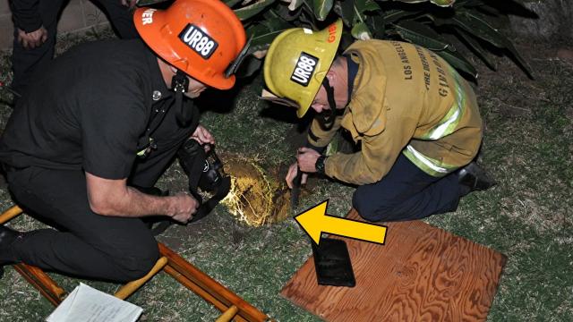 Years After She Vanished, They Find New Evidence Buried In Her Garden