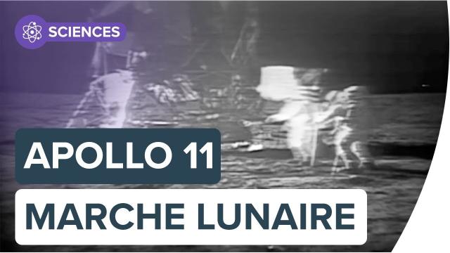 Apollo 11 : revivez les premiers pas de Neil Armstrong sur la Lune | Futura