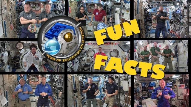 Year of Education on Station: Fun Facts