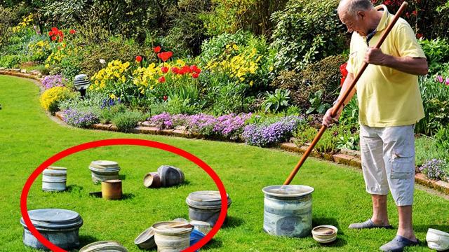 Poor Man Removes His Lawn and Realizes His Entire Yard Is Covered in Dollars