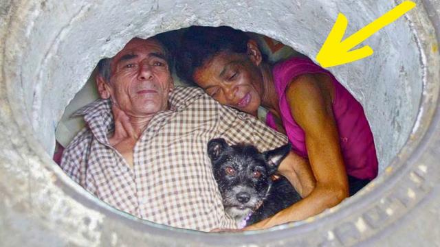 Couple That Has Lived In A Sewer For 22 Years Shows What It Looks Like On The Inside