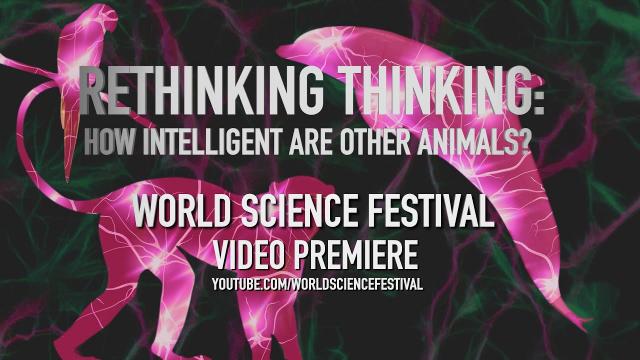 Rethinking Thinking - Premieres Jan. 31st.