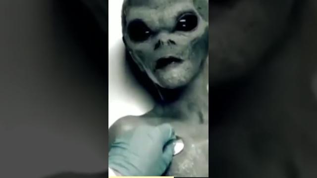 Strange Video Showing Captive ALIEN Examined by Scientist ! Real Video or Hoax ? ????#shorts