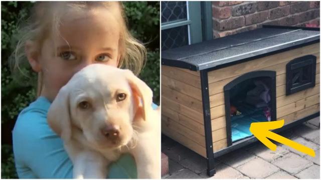 Three Days After Thieves Stole A Little Girl’s Puppy The Family Found Something Moving Next To A Ken