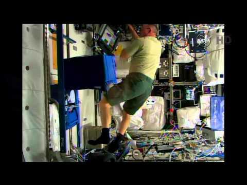 Space Station Live: Immunity In Microgravity