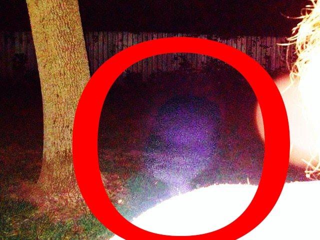 UFO Sightings Interdimensional Being or Cryptid Alien Encounter! Spooky Photo! 2014