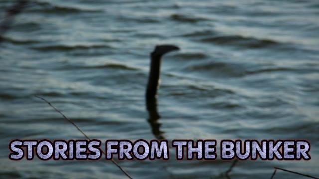 Have They Found The Loch Ness Monster's DNA? | Stories From The Bunker #46