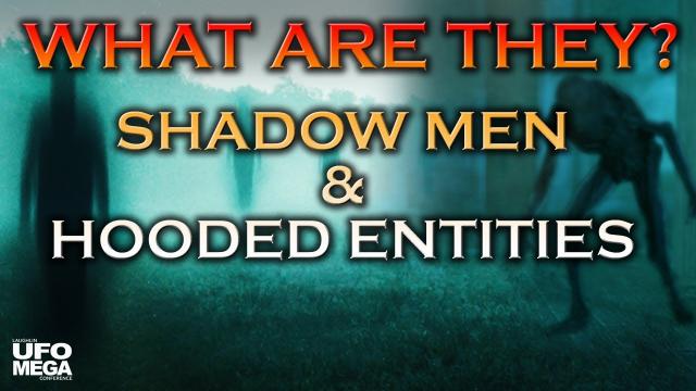 Shadow Entities and Hooded Figures: Aliens, Interdimensionals, or Players in a Simulated Reality?