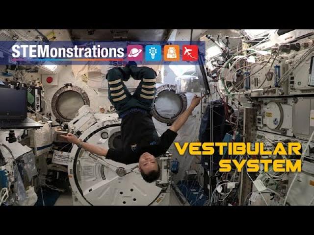 STEMonstrations: Vestibular System