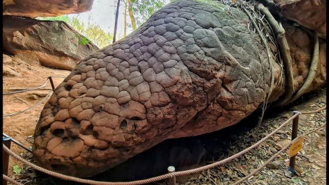 The Naga Cave in Thailand: Petrified Dinosaur During The Rapid, Violent Sedimentation Of The Deluge