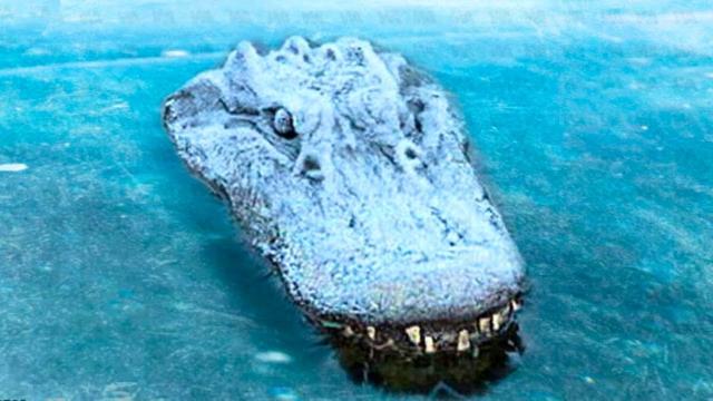 Man Finds Crocodile Frozen in Lake - When He Rescues him, He Doesn't Expect to Find This