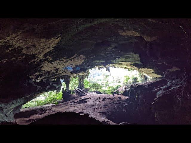 Niah National Park, Where the Caves Continue to Give 40 Thousand Years On