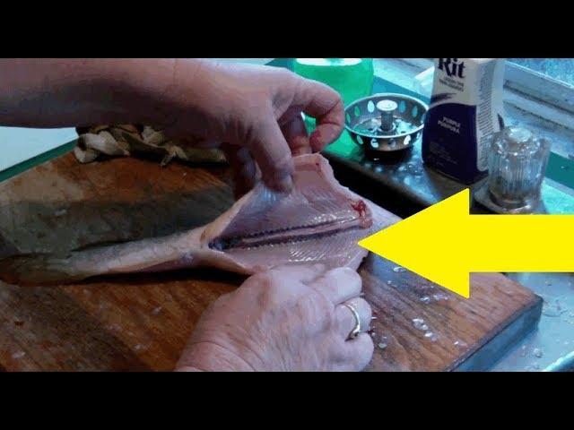 Woman Cleaning Out A Fish For Dinner Gets The Surprise Of Her Life