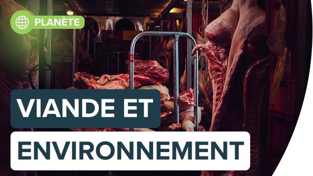 Pourquoi la consommation de viande est-elle mauvaise pour le climat ? | Futura