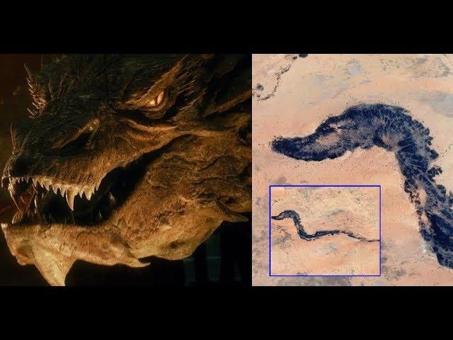 Fossilized Dragon found by Google Earth in the Mauritanian desert