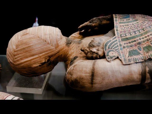 Archaeologists Discover Secrets OF Ancient EGYPTIAN MUMMIFICATION MATERIALS