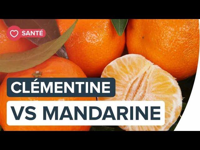 Clémentine ou mandarine, quelle différence ? | Futura