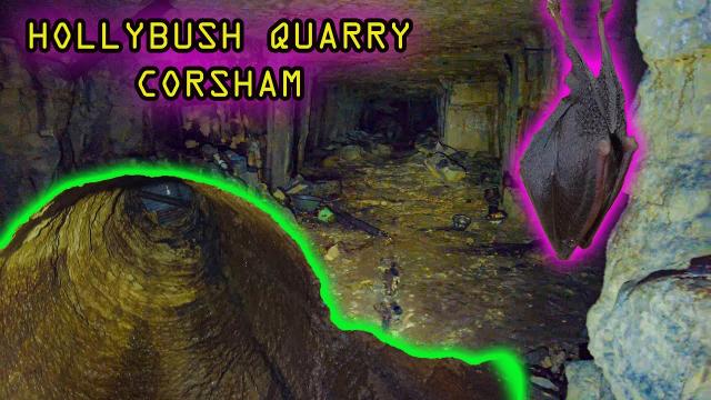 Holly Bush Quarry CORSHAM Bat Roost