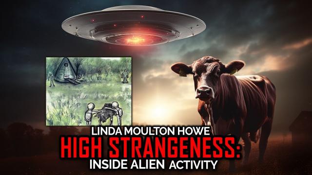 Linda Moulton Howe - More High Strangeness in UFO Abductions | 2024 Updated