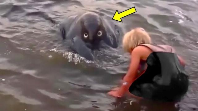 Woman Notices Strange Creature In River. She Turns Pale After Coming Closer