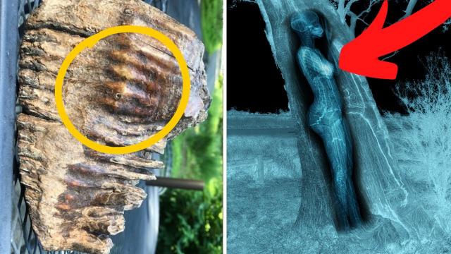 Boy Finds Weird Object In River That Stumps Archaeologists