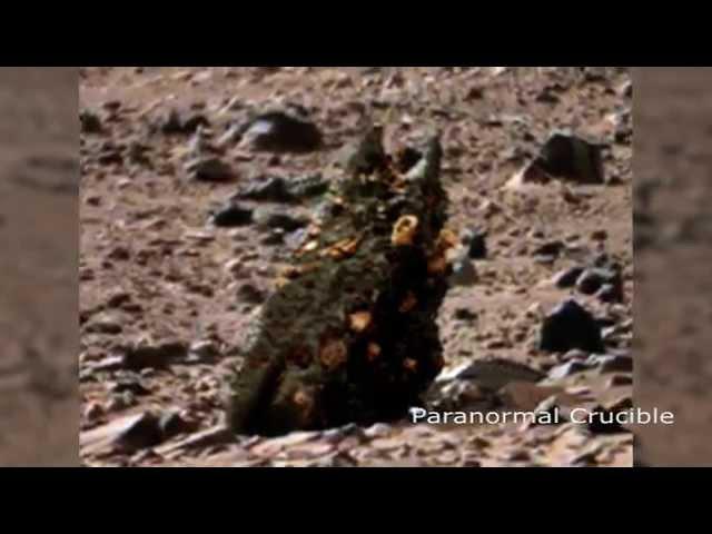 Monster Worm Found On Mars?