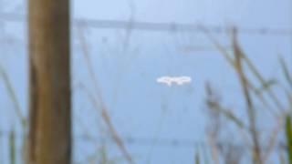Real UFO Sightings! Wait tell you See This! Amazing Bright UFO Jan 27,2012
