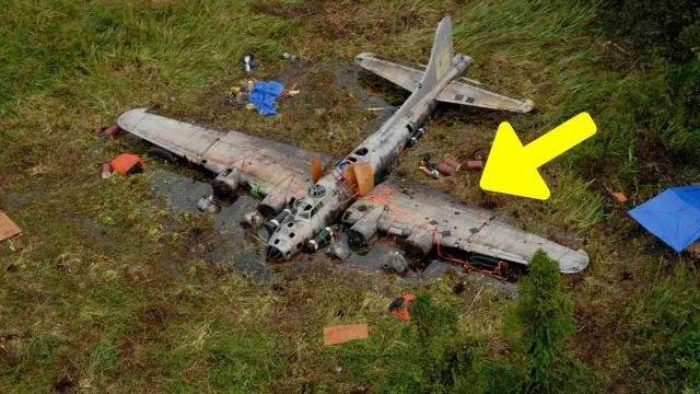 The Miraculous Survival Story Of The Teen Who Fell 10,000ft In An Amazon Plane Crash