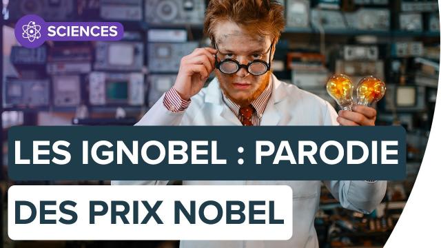 Les études insolites du prix IgNobel | Futura