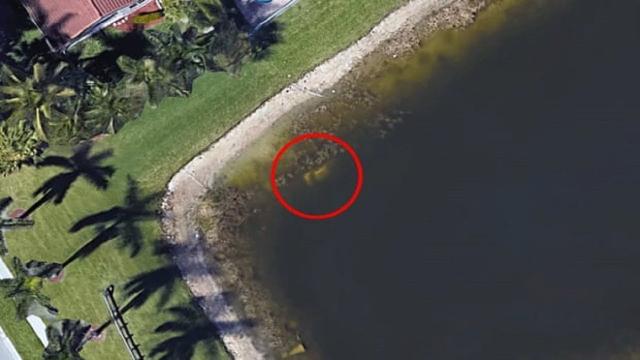 A Florida Man Made An Unsettling Discovery On Google Earth That Unraveled A 22 Year Old Mystery