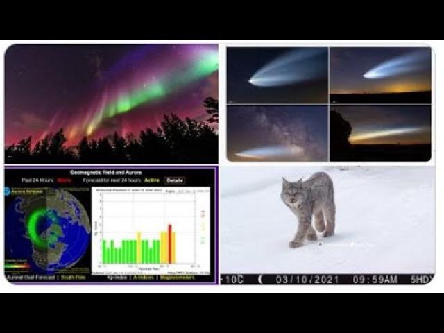 Storms, SpaceX, Animals, Dogecoin Satellites, St. Patrick's Day, Spring, Optimism & Hurricane Season