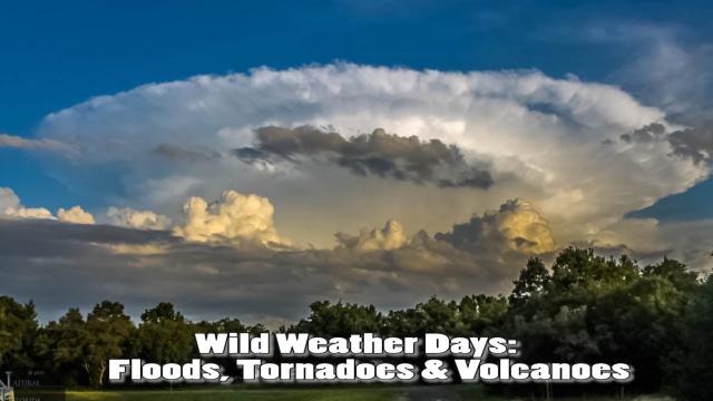 Wild Weather Days: Floods, Tornadoes, Volcanoes & this weekend.