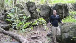 UFO Sightings Massive Pyramid Discovered South Pacific September 18 2011 Exclusive!