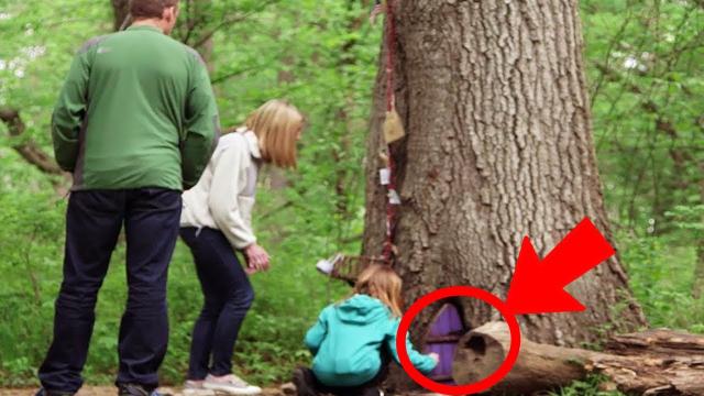 This Little Girl Found a Tiny Door Leading Into a Tree. When Her Mom Saw What’s Inside… Wow