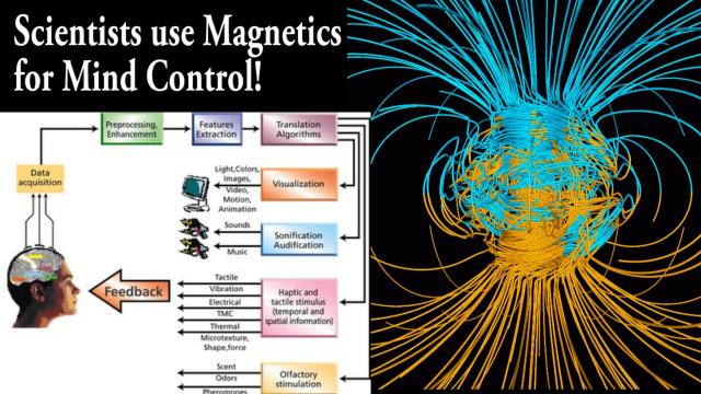 O WTF?!? Scientists are Using Magnetics for Mind Control