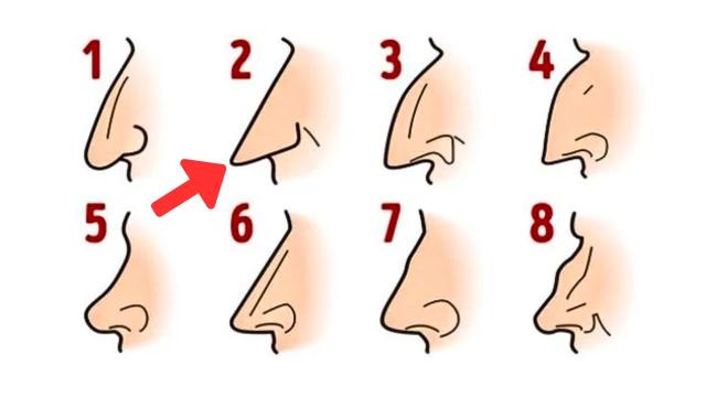 What Does The Shape of Your Nose Reveal About Your Personality