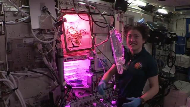 How to water plants on Space Station