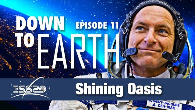 Down To Earth - Shining Oasis
